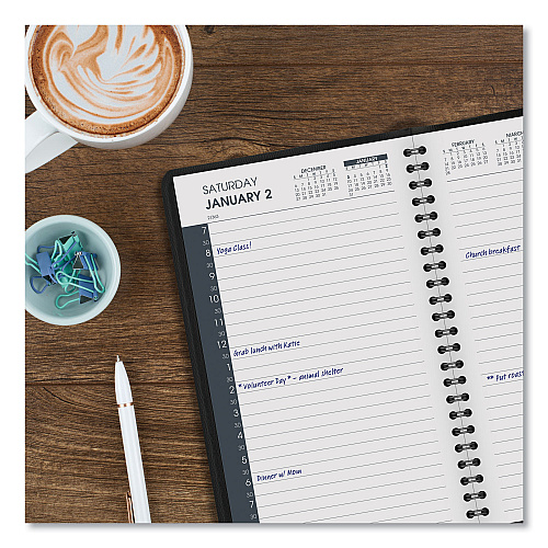 AT-A-GLANCE Daily Appointment Book with 30-Minute Appointments, 8 x 5, Black Cover, 12-Month (Jan to Dec): 2026 (7020705)