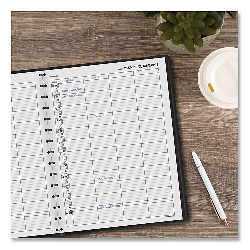 AT-A-GLANCE Four-Person Group Daily Appointment Book, 11 x 8, Black Cover, 12-Month (Jan to Dec): 2026 (7082205)