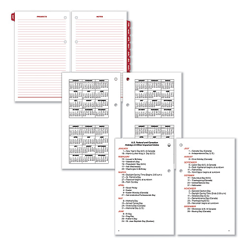 AT-A-GLANCE Burkhart's Day Counter Desk Calendar Refill, 4.5 x 7.38, White Sheets, 12-Month (Jan to Dec): 2026 (E71250)