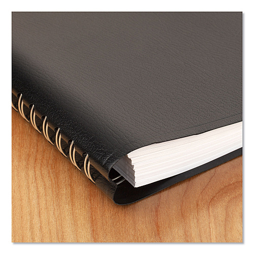 AT-A-GLANCE DayMinder Daily Appointment Book, 8 x 5, Black Cover, 12-Month (Jan to Dec): 2027 (SK4400)