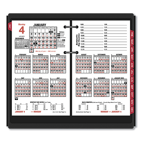 AT-A-GLANCE Burkhart's Day Counter Desk Calendar Refill, 4.5 x 7.38, White Sheets, 12-Month (Jan to Dec): 2026 (E71250)