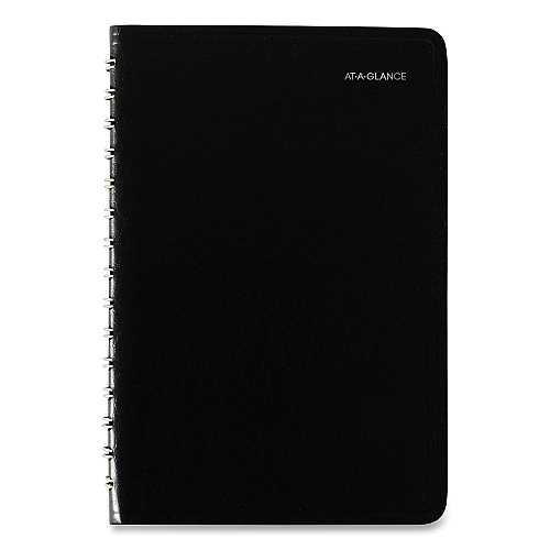 At-A-Glance Daily Planner, DayMinder (SK4600)
