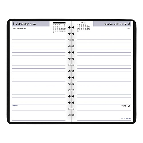At-A-Glance Daily Planner, DayMinder (SK4600)