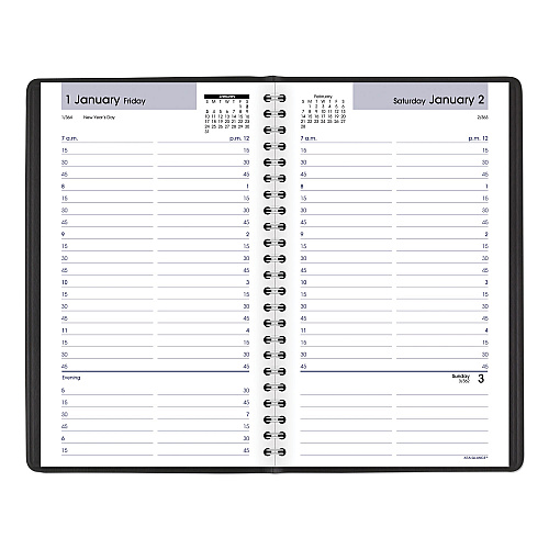AT-A-GLANCE DayMinder Daily Appointment Book, 8.5 x 5.5, Black Cover, 12-Month (Jan to Dec): 2026 (G10000)