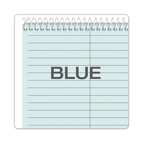 TOPS Prism Steno Pads, Gregg Rule, Blue Cover, 80 Blue 6 x 9 Sheets, 4/Pack (80284)