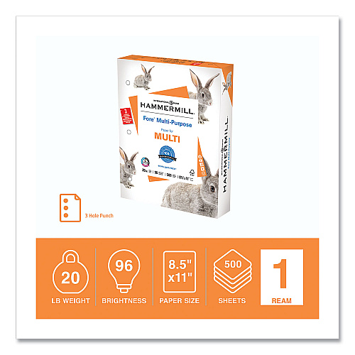Hammermill Fore Multipurpose Print Paper, 96 Bright, 3-Hole, 20 lb Bond Weight, 8.5 x 11, White, 500 Sheets/Ream (103275)
