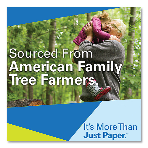 Hammermill Fore Multipurpose Print Paper, 96 Bright, 3-Hole, 20 lb Bond Weight, 8.5 x 11, White, 500 Sheets/Ream (103275)