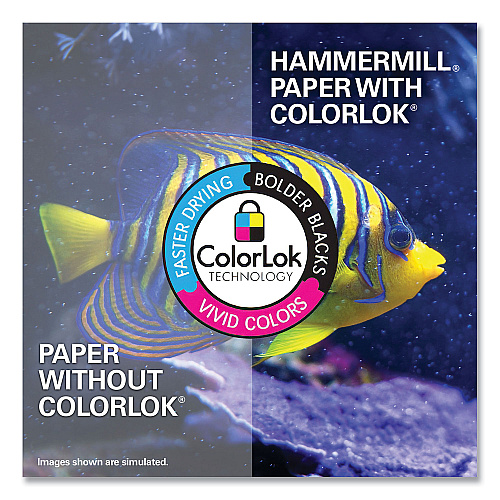 Hammermill Premium Color Copy Print Paper, 100 Bright, 3-Hole, 28 lb Bond Weight, 8.5 x 11, Photo White, 500 Sheets/Ream, 8 Reams/Carton (102500)