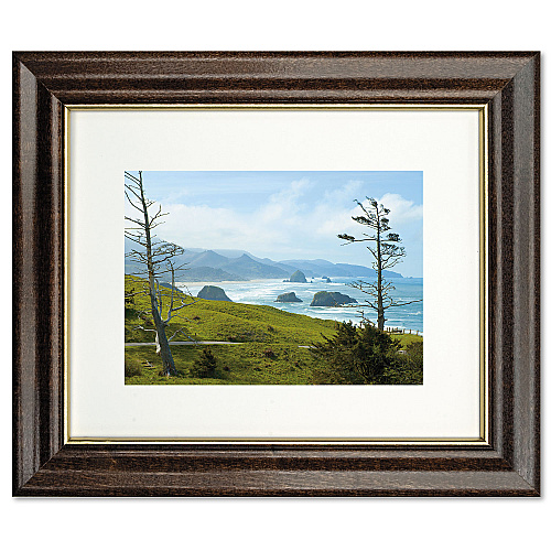 AbilityOne 7105012820630, SKILCRAFT Style C Photo Frame, Wood, 8 x 10, Walnut Stain
