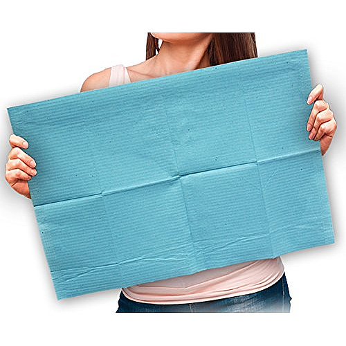 Adenna Dental Bibs Blue 18 X13 4x125, Case Of 500 (BIB741B)