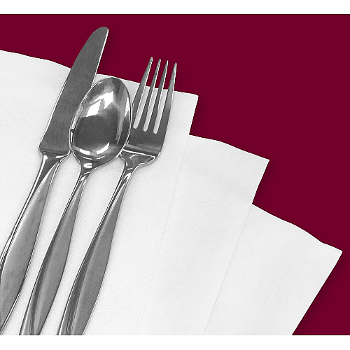Saniworks Topline Linen Replacement Napkin, Drc, White, 14"x14", Light Duty, Flat, 1000/cs, Case Of 1000 (N-LRVDFBW2)