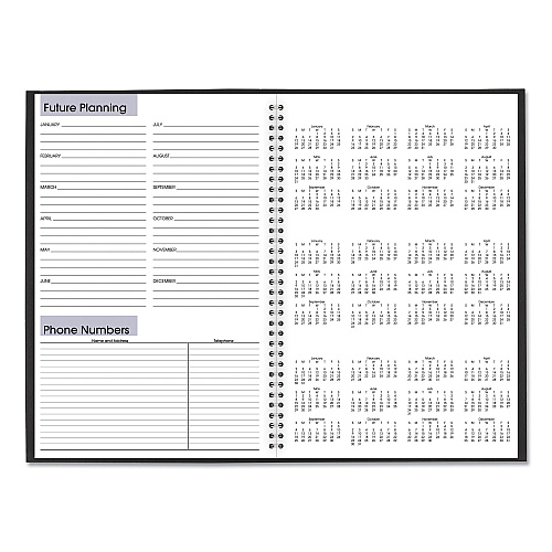 AT-A-GLANCE DayMinder Monthly Planner, Ruled Blocks, 12 x 8, Black Cover, 14-Month: Dec 2025 to Jan 2027 (SK200)