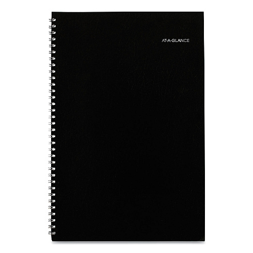 AT-A-GLANCE DayMinder Monthly Planner, Ruled Blocks, 12 x 8, Black Cover, 14-Month: Dec 2025 to Jan 2027 (SK200)