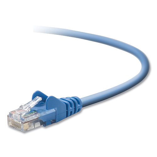 Belkin CAT6 UTP Computer Patch Cable, 2 ft, Blue (A3L98002BLUS)