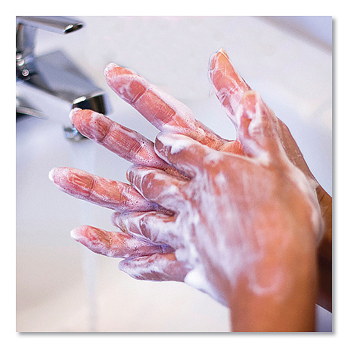 Safeguard Professional Antibacterial Liquid Hand Soap, Light Scent, 1 gal, 2/Carton (02699)