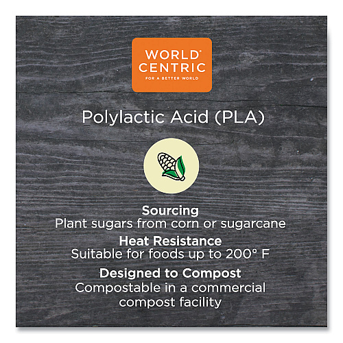 World Centric PLA Rectangular Deli Containers, 12 oz, 4.8 x 5.9 x 2.1, Clear, Plastic, 900/Carton (RDCS12)
