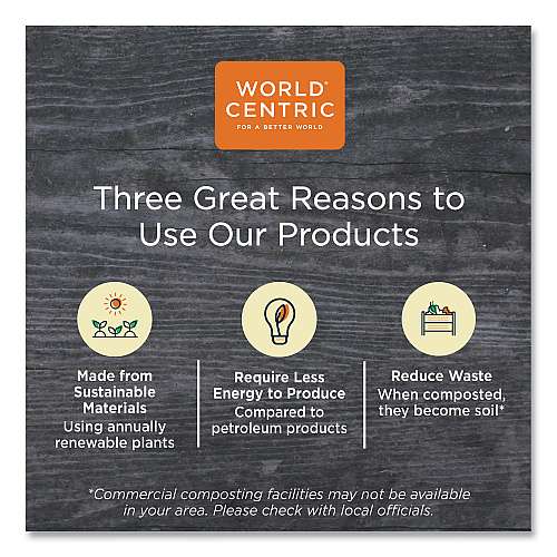 World Centric 100 Percent PCW Recycled Paper Towels, 1-Ply, 9 x 9, Natural, 250/Pack, 16 Packs/Carton (TWPAMF)