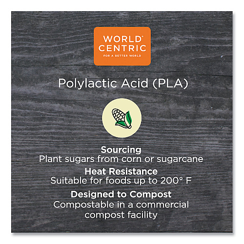 World Centric PLA Rectangular Deli Container Lids, 6.5 x 7.5 x 0.3, Clear, Plastic, 600/Carton (RDLCS24)