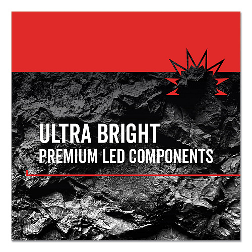 Rayovac Virtually Indestructible LED Headlight, 3 AAA Batteries (Included), 30 m Projection, Black (DIYHL3AAABTA)
