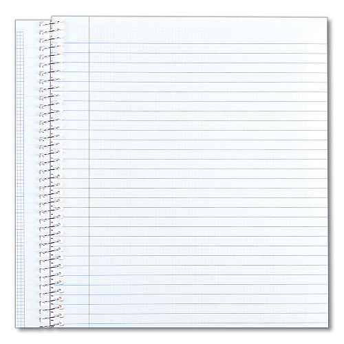 National Paper Engineering and Science Notebook, Quadrille Rule (10 sq/in), White Cover, (60) 11 x 8.5 Sheets (33610)