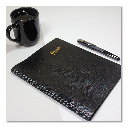 Brownline Essential Collection 14-Month Ruled Monthly Planner, 8.88 x 7.13, Black Cover, 14-Month: Dec 2025 to Jan 2027 (CB1200BLK)