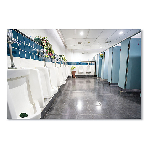 Fresh Products Eco-Fresh Urinal Block, Non-Para, Green Apple, Green, 12/Box, 12 Boxes/Carton (EUB144CF)