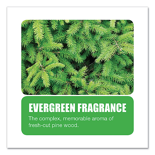 Big-D Non-Para Toilet Bowl Block, Lasts 30 Days, Evergreen Scent, White, 12/Box (661)