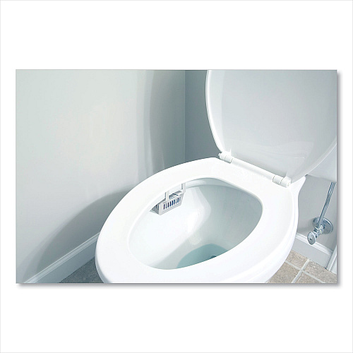 Big-D Non-Para Toilet Bowl Block, Lasts 30 Days, Evergreen Scent, White, 12/Box (661)