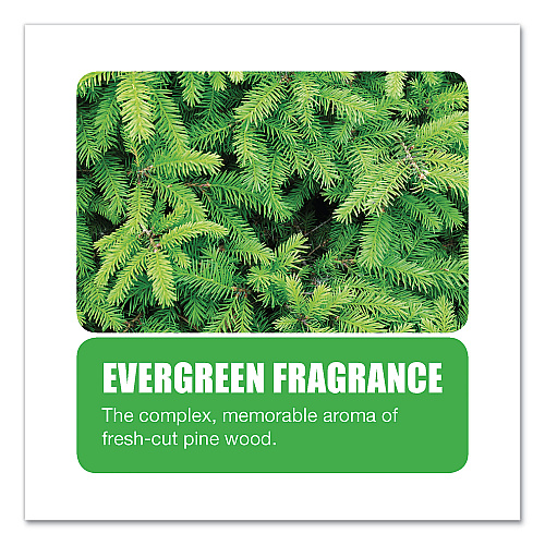 Big-D Extra Duty Urinal Screen with Non-Para Block, Evergreen with Enzymes Scent, White, Dozen (660)