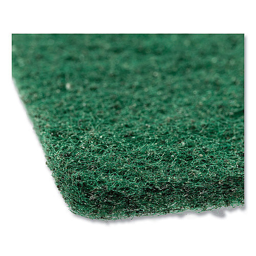 AmerCareRoyal Medium-Duty Scouring Pad, 6 x 9, Green, 10 Pads/Pack, 6 Packs/Carton (S960)