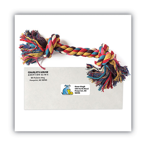 MACO White Laser/Inkjet Shipping Address Labels, Inkjet/Laser Printers, 1 x 2.63, White, 30 Labels/Sheet, 100 Sheets/Box (ML3000)