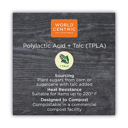 World Centric TPLA Compostable Cutlery, Spoon, 6", White, 750/Carton (SPPSI)