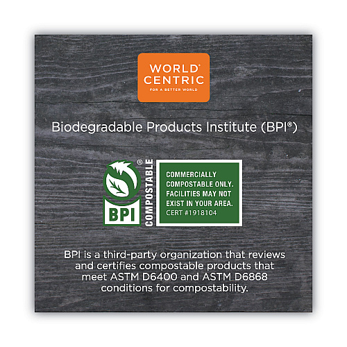 World Centric TPLA Compostable Cutlery, Spoon, 6", White, 750/Carton (SPPSI)