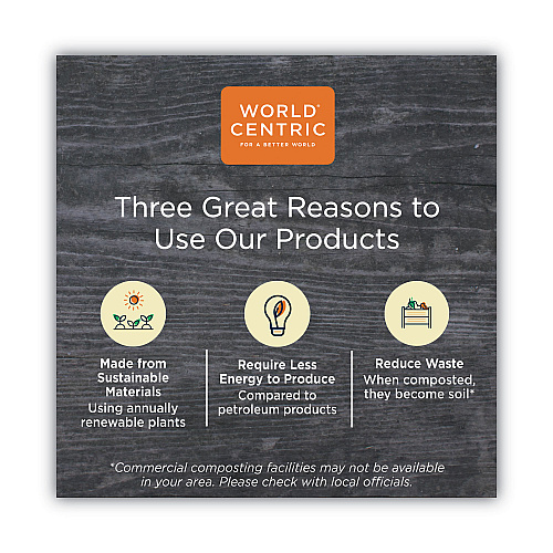 World Centric TPLA Compostable Cutlery, Spoon, 6", White, 750/Carton (SPPSI)