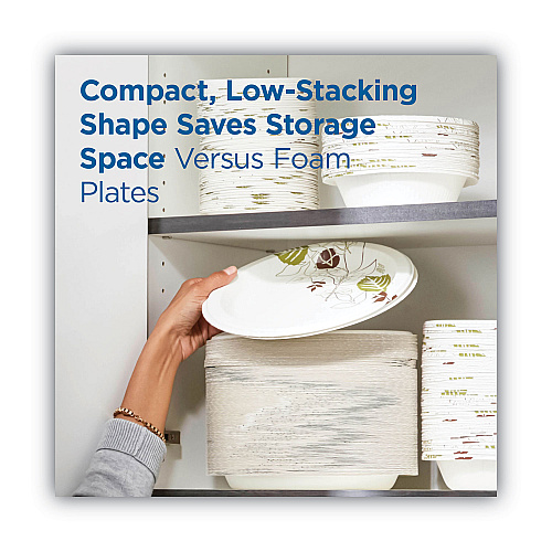 Dixie Pathways Soak Proof Shield Heavyweight Paper Plates, 10.13" dia, Green/Burgundy, 125/Pack (SXP10PATHPK)