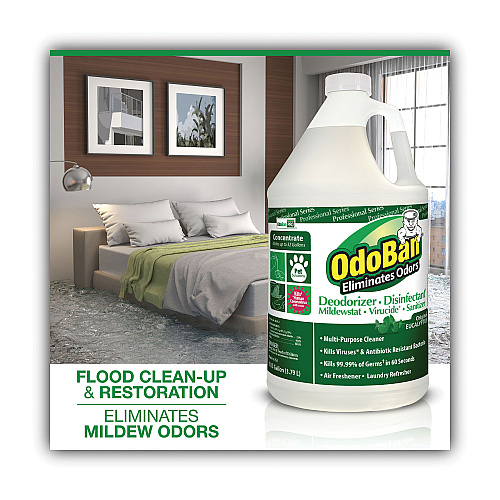 OdoBan Concentrated Odor Eliminator, Eucalyptus, 1 gal Bottle, 4/Carton (911062G4)