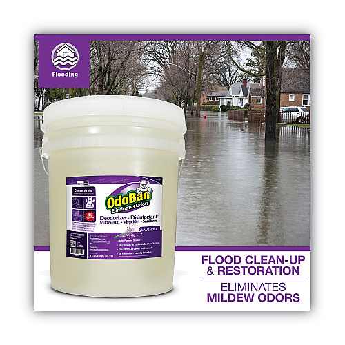 OdoBan Concentrated Odor Eliminator and Disinfectant, Lavender Scent, 5 gal Pail (9111625G)