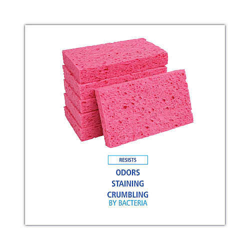 Boardwalk&reg; Small Pink Cellulose Sponges, Pink, 48 Sponges (BWKCS1A)