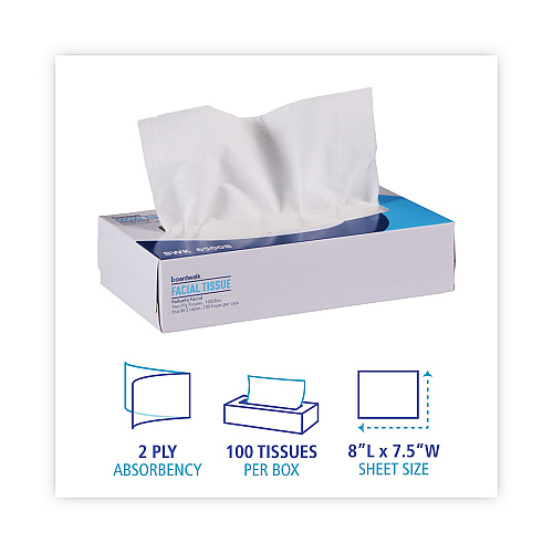 Boardwalk&reg; Facial Tissues, 2-Ply, 100 Tissue Box, 30 Boxes (BWK6500B)