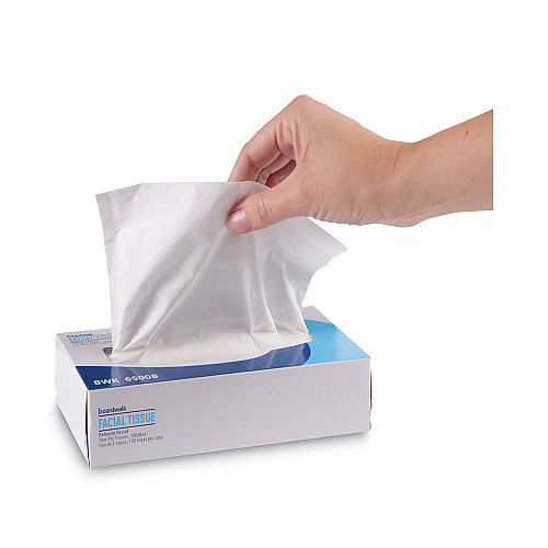 Boardwalk&reg; Facial Tissues, 2-Ply, 100 Tissue Box, 30 Boxes (BWK6500B)