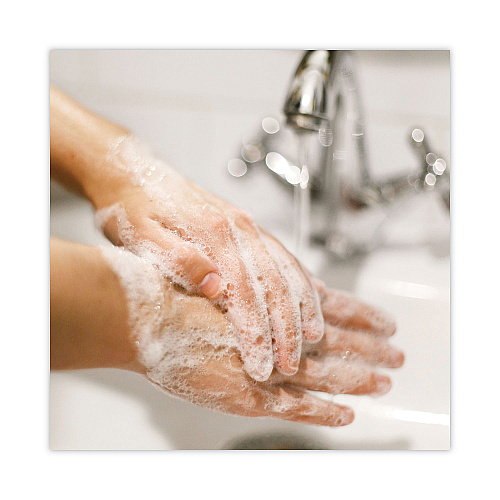 Dial Basics MP Free Liquid Hand Soap, Unscented, 16 oz, 12/Carton (33815)