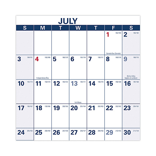AT-A-GLANCE Academic Erasable Reversible Extra Large Wall Calendar, 48 x 32, White/Blue/Red, 12 Month (July to June): 2025 to 2026 (PM36AP28)
