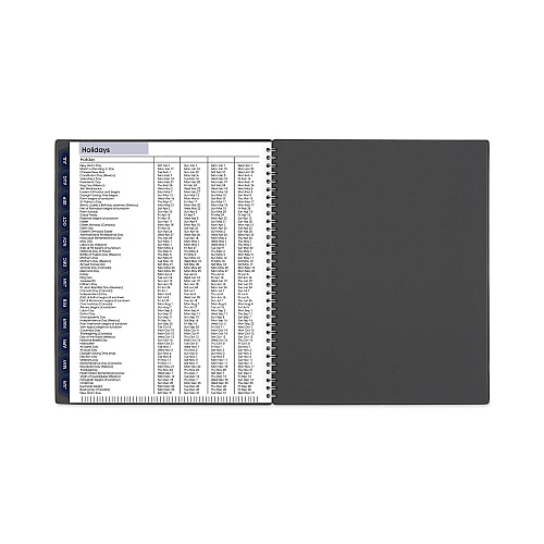 AT-A-GLANCE DayMinder Academic Monthly Desktop Planner, Twin-Wire Binding, 11 x 8.5, Charcoal Cover, 12-Month (July to June): 2025-2026 (AYC47045)