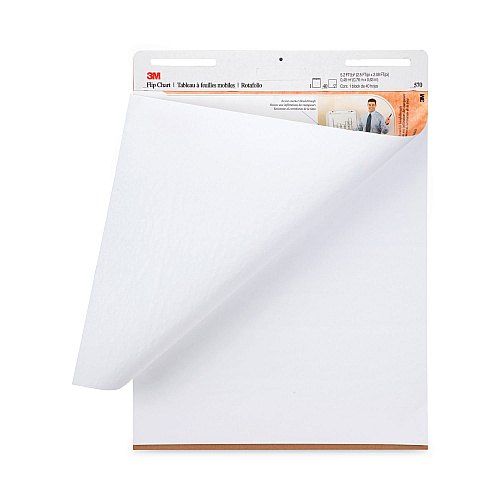 3M Professional Flip Chart, Unruled, 25 x 30, White, 40 Sheets, 2/Carton (570)