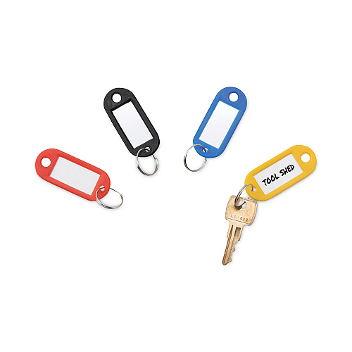 Advantus Key Tags Label Window, 0.88 x 0.19 x 2, Assorted, 20/Pack (KEY98007)