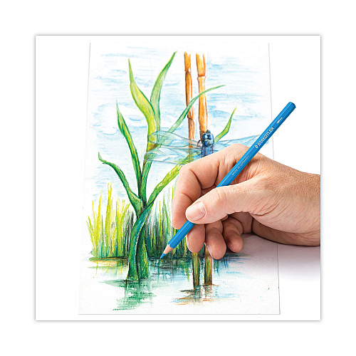 Staedtler Watercolor Pencils, 2.9 mm, HB (#2), Assorted Lead and Barrel Colors, 12/Pack (14610CC12)