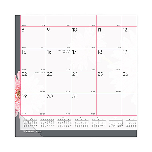 Brownline Monthly Desk Pad Calendar, Pink Daisy Artwork, 22 x 17, Pink/White Sheets, Black Binding, 12-Month (Jan to Dec): 2026 (C193105)