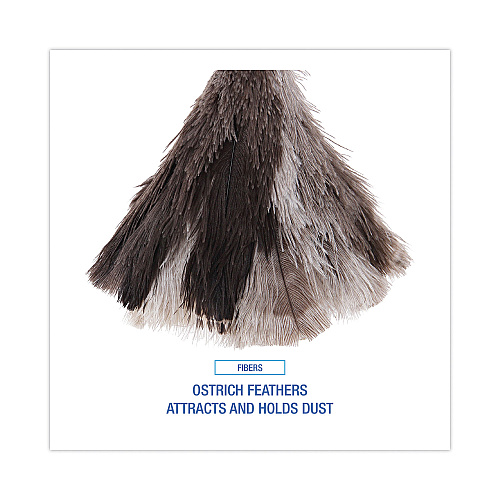 Boardwalk&reg; Professional Ostrich Feather Duster, 7" Handle (BWK13FD)