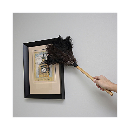 Boardwalk&reg; Professional Ostrich Feather Duster, 10" Handle (BWK20BK)