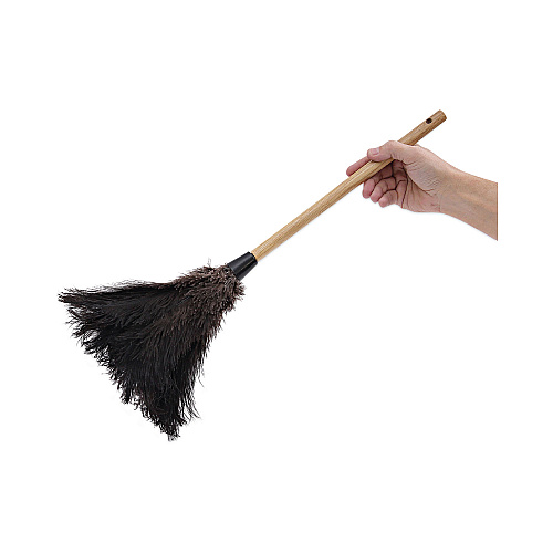 Boardwalk&reg; Professional Ostrich Feather Duster, 10" Handle (BWK20BK)